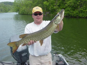 18D15AFF-6270-42DC-96E8-1AA4E32A026D