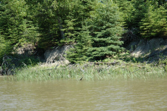 18b8cbc5-e5ea-4232-a0c9-1909359e9a99