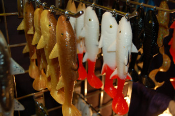 190210EC-5504-4ACF-84B6-250403F4FF68