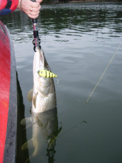 19697b2d-6f0e-42b4-b0f7-2118aa246d3a