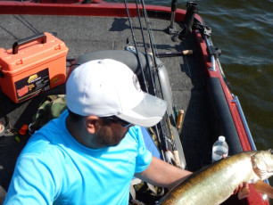 198BC5EB-D945-4856-A419-8891D5FB9F15