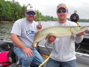 1A136409-C9E2-4118-97BF-31F323FC611D