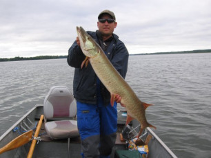 1A3D2634-23F0-4C03-87B3-C27D518E2EEE