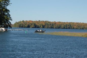 1A9AE463-28C7-44AF-BACA-0898D5959B5D