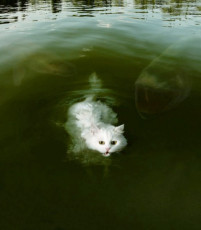 1B34D4B7-7F2B-4863-827D-1E88CCB64E4B