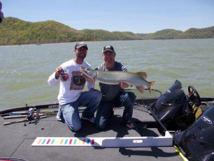 1B890693-5FBB-4FC0-9DEF-D32361B5D6EF