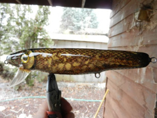 1BAD2E73-2262-4939-A921-8C41DAA5E7DE