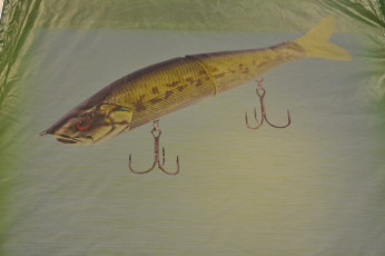 1BF67BD6-0C8B-419E-98CE-2402ECF0037D