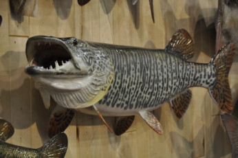 1C43662E-4383-455F-B895-4417696ACD56