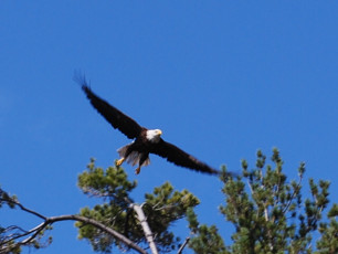 1C800083-13A5-425E-BEB9-D998F2CAC773