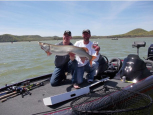 1D188542-53B6-4F31-95C7-31E5B08FA2AC