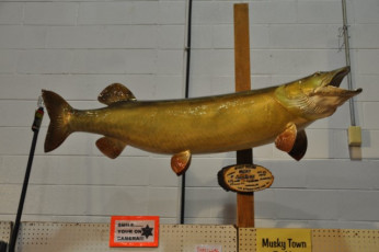 1D3B8EE2-EDE4-4050-A88D-969B1D3B750A