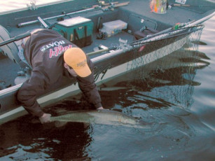 1D494BF0-90A3-496E-8301-AC0B6350D2D1