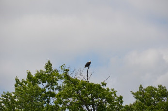 1DA74097-2E8E-4A9C-B85A-4913902E0CE9