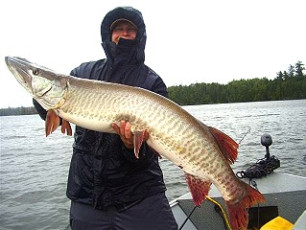 1E4C4948-8B0A-4495-AFD5-724D1CBC2F06