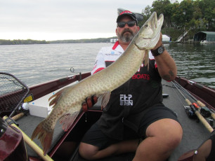 1E53212F-0FDD-4CAF-A37A-03CC1CDED374