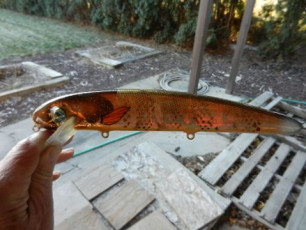 1FA473E4-B6A6-4183-AF08-7B4C615F8105