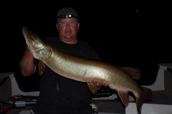 1FBC2FF1-9706-4312-A4DA-1B81041D12BE