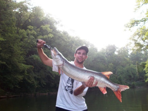 1FD2AAE1-A7CE-4D3F-971B-820594A5A8E5