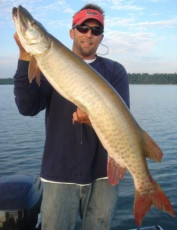 1ab26882-58b0-4302-88c8-016f220ae13b