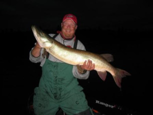 1ab8e8c2-e116-4255-8543-68ebed48ac78