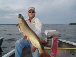 1c50857b-c5d7-4616-9185-63b7e611dcd2