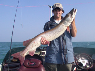 1c9788df-c9b9-40d4-ac08-670b642e4daf