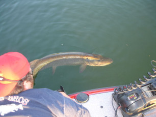 1cfd7cda-6d1f-4649-a132-8357124fcc03