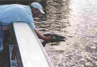 1d33bde2-86df-4ffc-aeba-4096d7ad079e