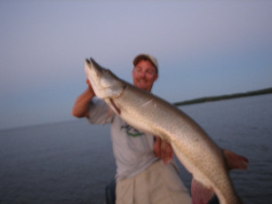 1d7d864f-5f49-42db-9e7a-3af12e07b4a0