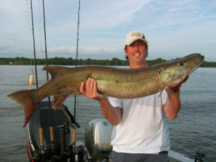 1d91aa7d-7094-464c-8fec-f05f2a016a8e