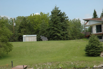 1de396d4-4c7f-4ae3-8846-71eef234120c