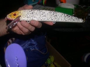 1e6c0816-58fc-44eb-a271-ad85b441141f