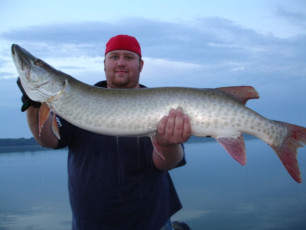 1ee7aec5-3f6d-4d2d-a961-37fc4f1fd063