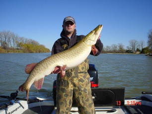 1f651a2a-f945-4c9c-9f97-d1cc941a695b