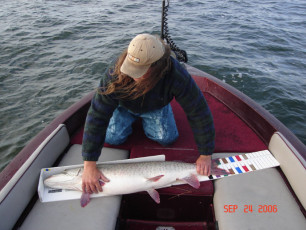 1f6b4df9-6fe9-4089-93b6-378a9465f239