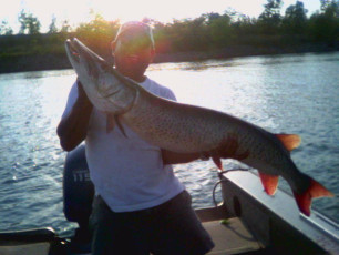 1fa9c4e9-7b9d-4c4d-9384-871207c5cb5f