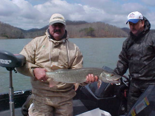 200e2e4a-aa61-4807-8433-3fac7b18712e