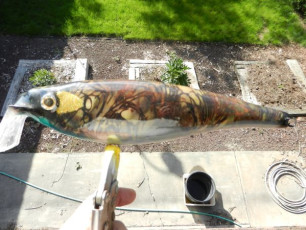 20D7E0BB-9FE1-4FEA-B670-F2460739DA86