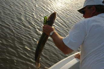 2128b95e-2924-4a6f-9c34-fe1ce87313ed