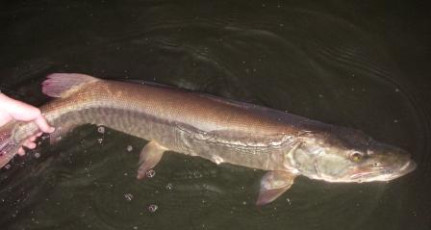 218c360d-f2fe-4d35-9a13-1571d617d160