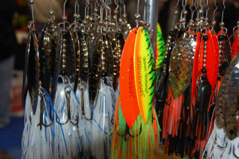 219F45D5-799C-4D1B-9A40-F784C700FAF3