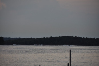 21B14BB1-A764-4C88-BD69-43DD0247023F