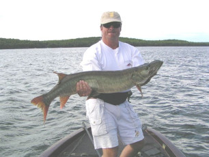 220fa0e0-8d98-48ae-8a69-d035c30eafc6