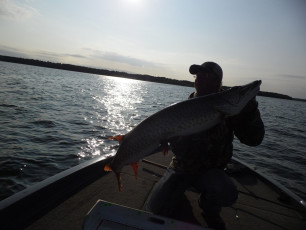 22141E8B-B804-4A7A-91A6-889131C5FE98