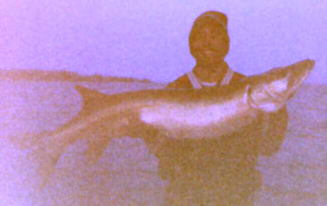 22257a89-2748-423f-820b-b7cc762b5912