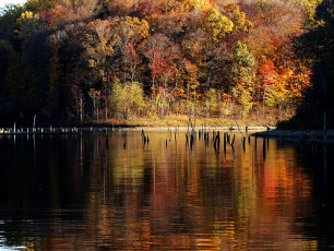 2271A500-EE2A-4DFD-9EC3-5E3487ECF5AF