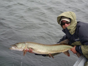 22E1A18D-763D-49D9-BC61-ED9D693F0D62