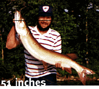 22c5347f-f762-4a62-a337-ba7311bbc78c