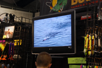 2322628D-E085-40C3-B5B7-13060AF4C879